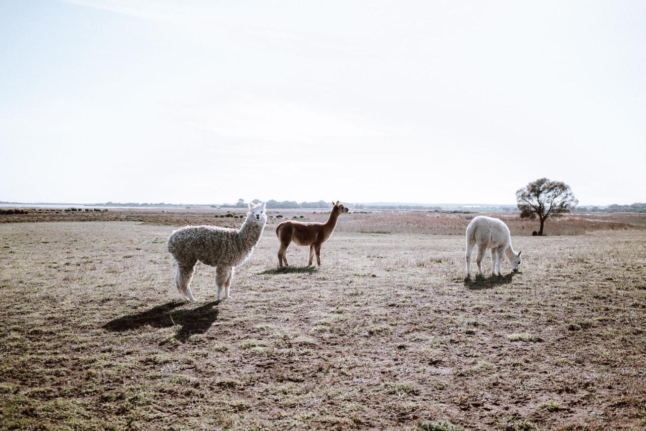 Coorong Island Retreat - Farm Stay At Pet Friendly Property Meningie Exterior photo
