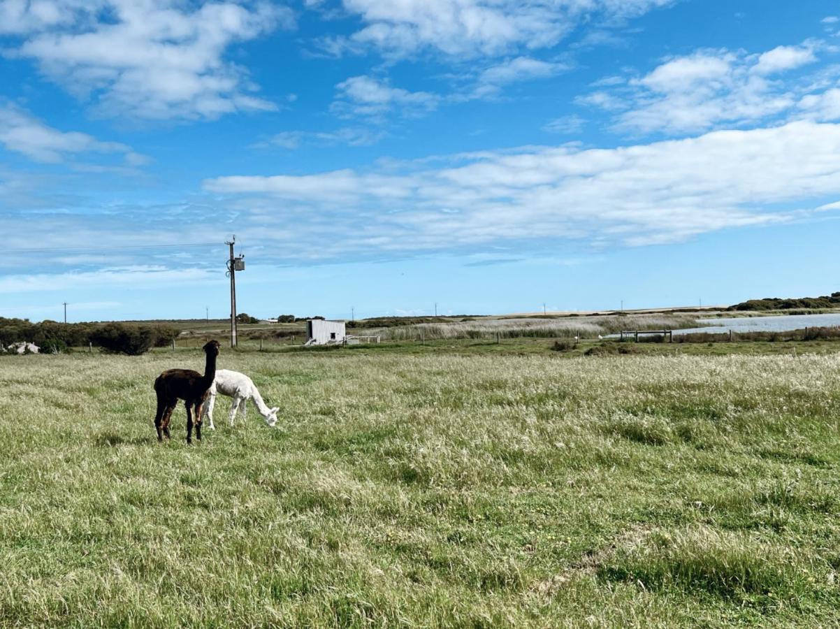 Coorong Island Retreat - Farm Stay At Pet Friendly Property Meningie Exterior photo