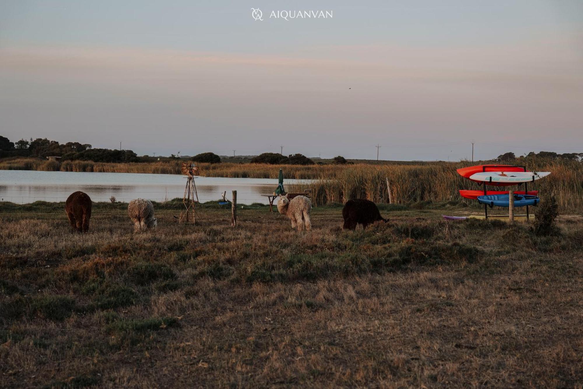 Coorong Island Retreat - Farm Stay At Pet Friendly Property Meningie Exterior photo